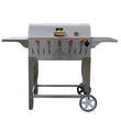 Cargar imagen en el visor de la galería, Asador CLÁSICO Superior-Plus (Cromado)