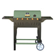 Cargar imagen en el visor de la galería, Asador CLÁSICO Economy (color verde)