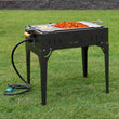 Cargar imagen en el visor de la galería, Base a gas LP con Disco-plancha / Propane Base with Disc-Grill