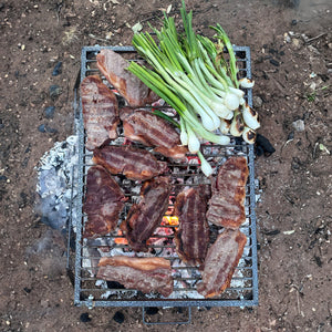 Simple Folding Campfire Grill