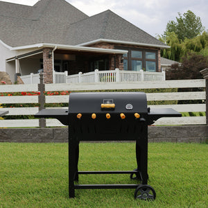 CLASSIC Economy rotisserie (black color)